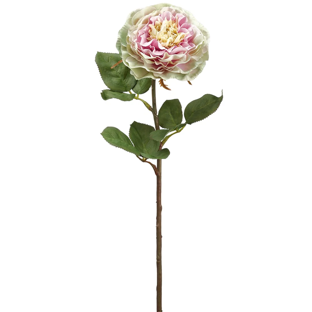21.25" Silk Rose Flower Stem -Cream/Lavender (Pack of 12)