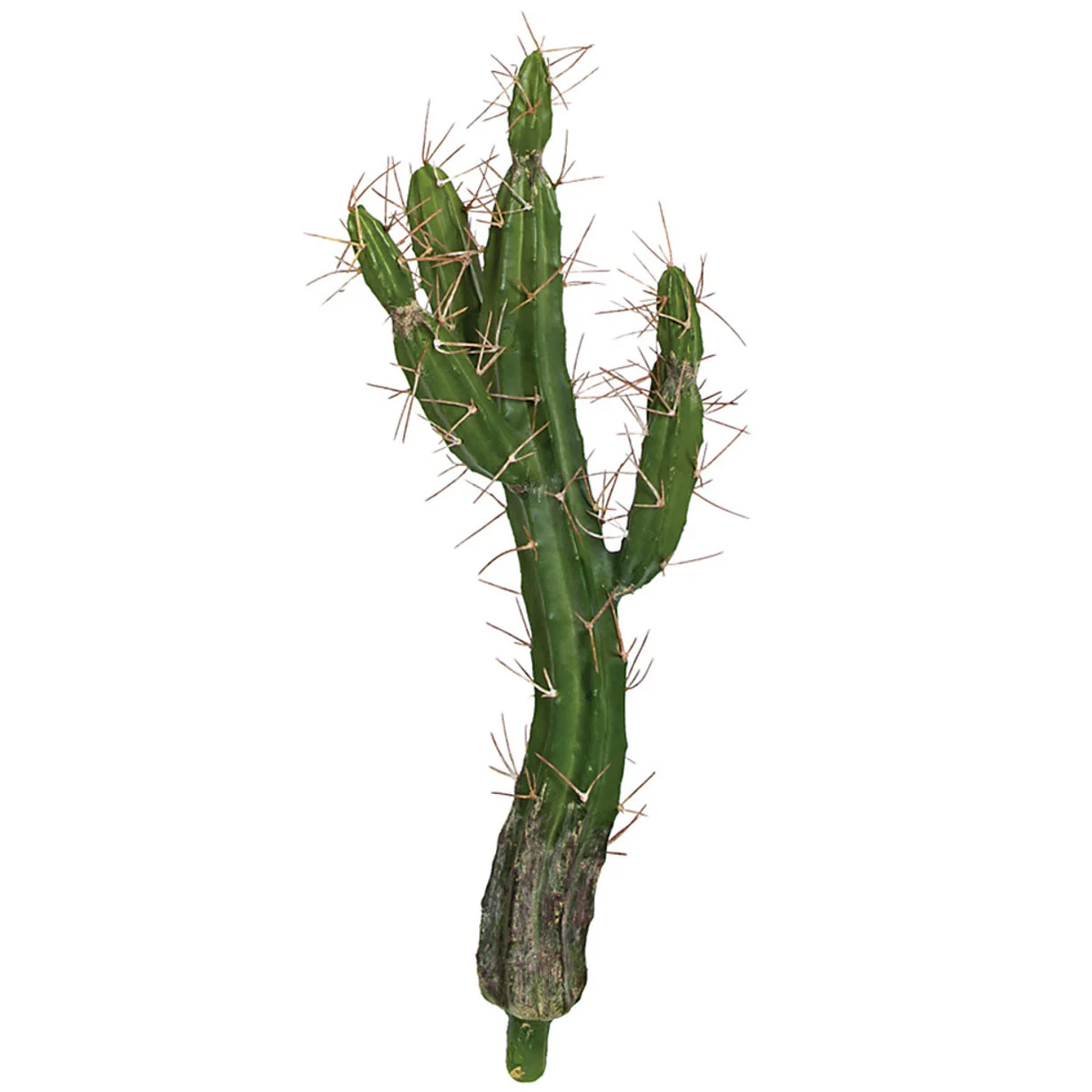 21.5" Plastic Cactus Artificial Stem -Green (Pack of 6)