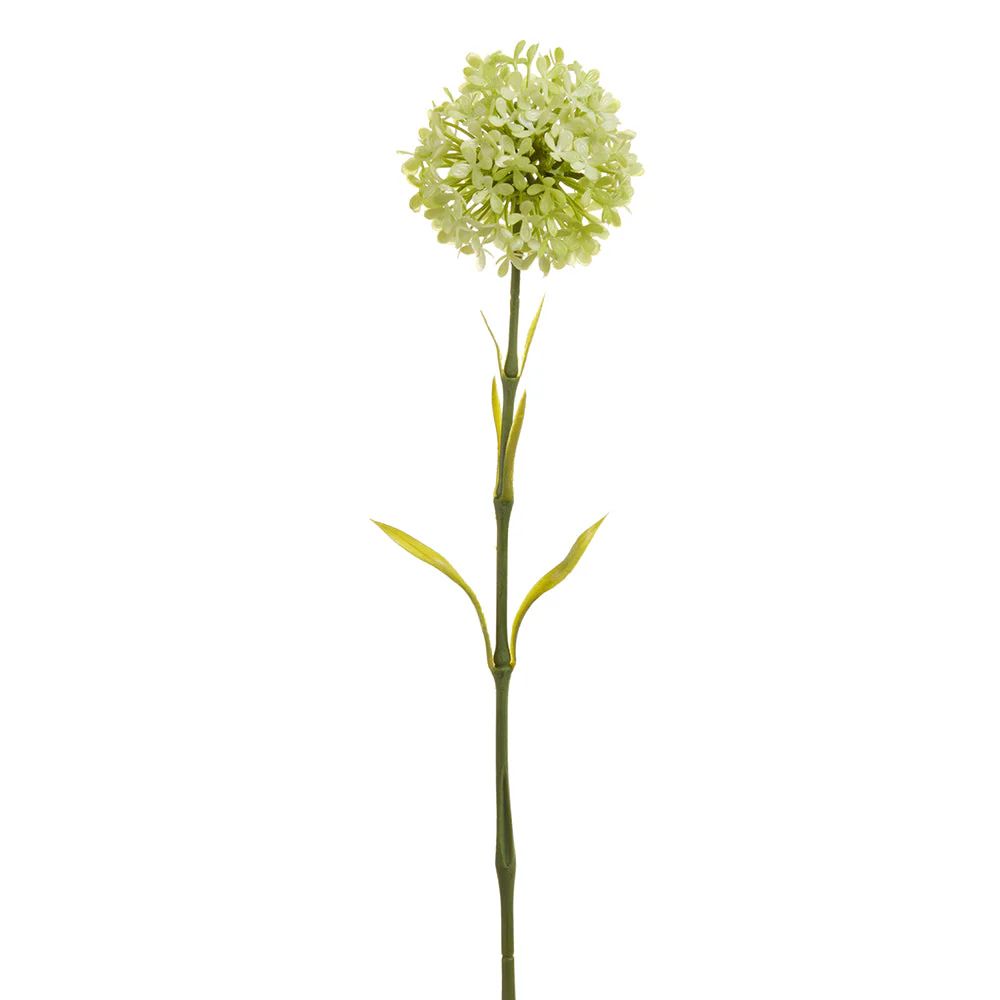 21" Allium Silk Flower Stem -Green (Pack of 12)
