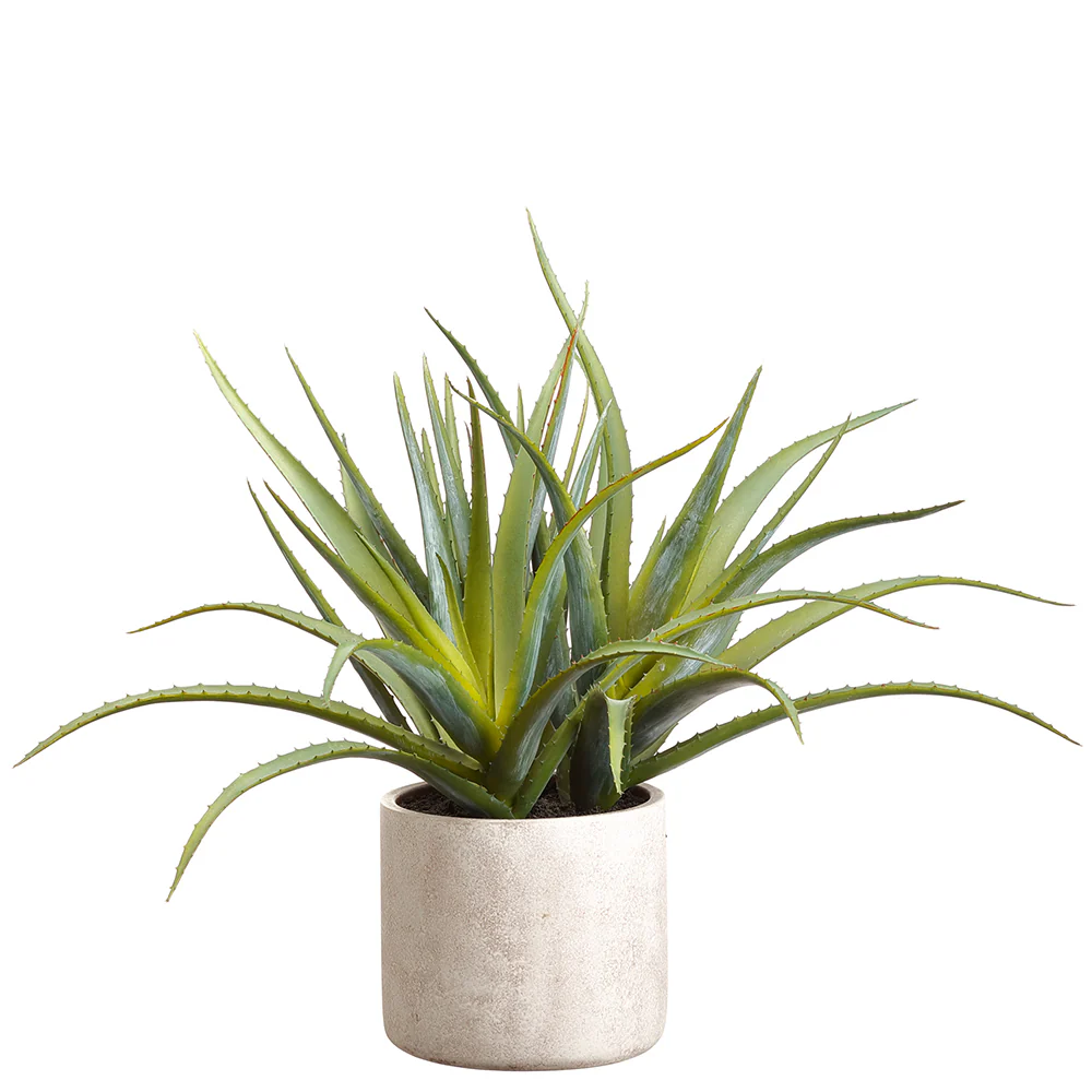 21" Artificial Aloe Plant w/Cement Pot -Green