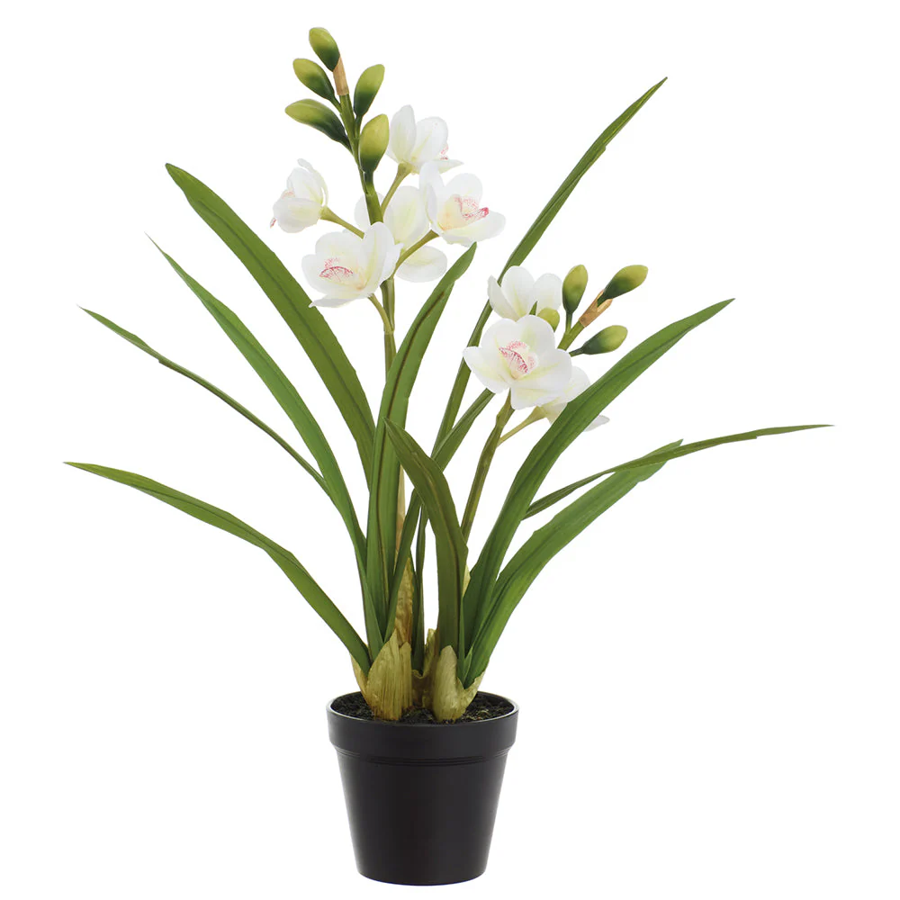 21" Cymbidium Orchid Silk Flower Arrangement w/Plastic Pot -White (Pack of 3)