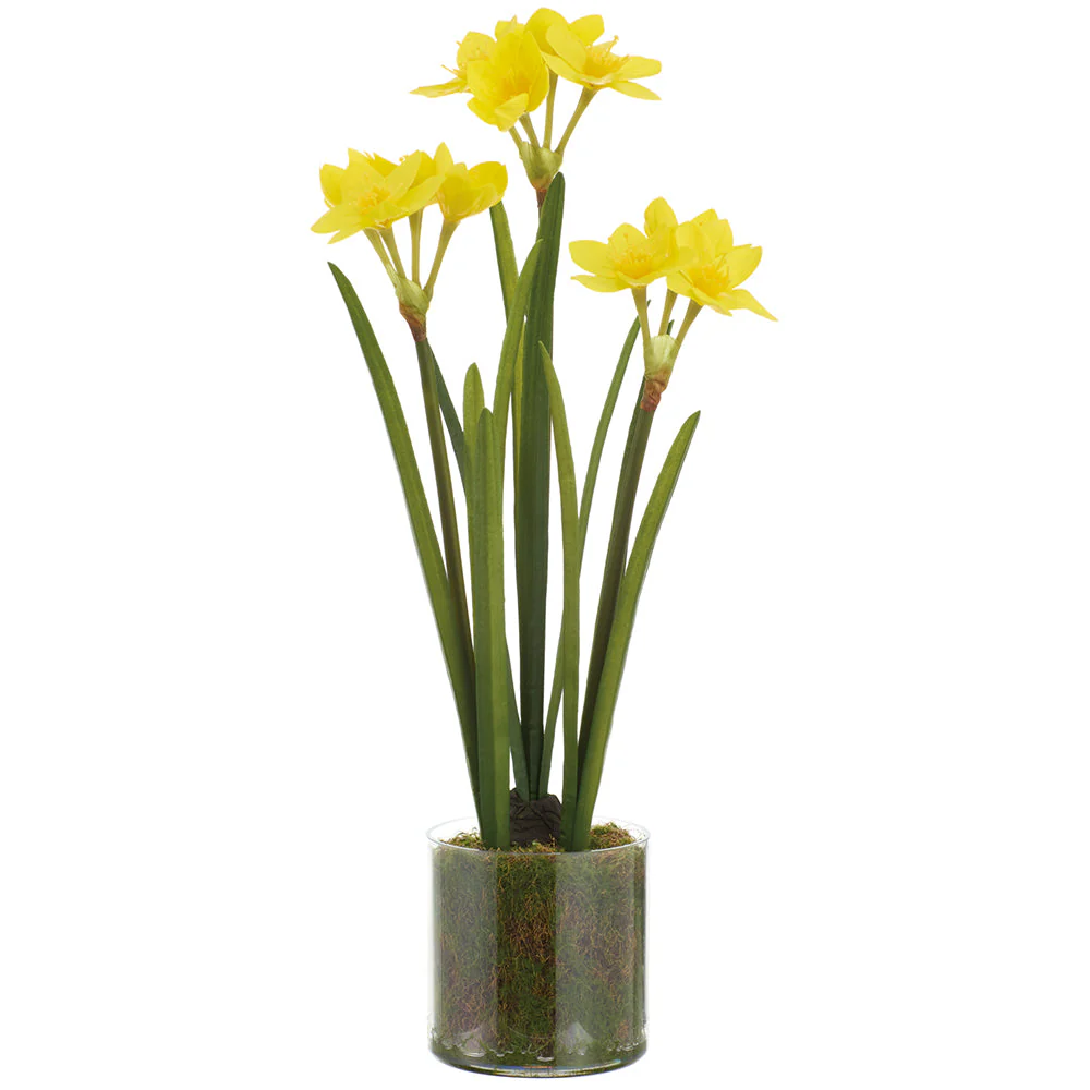 21" Daffodil Artificial Flower Arrangement w/Clear Plastic Pot -Yellow/White (Pack of 6)