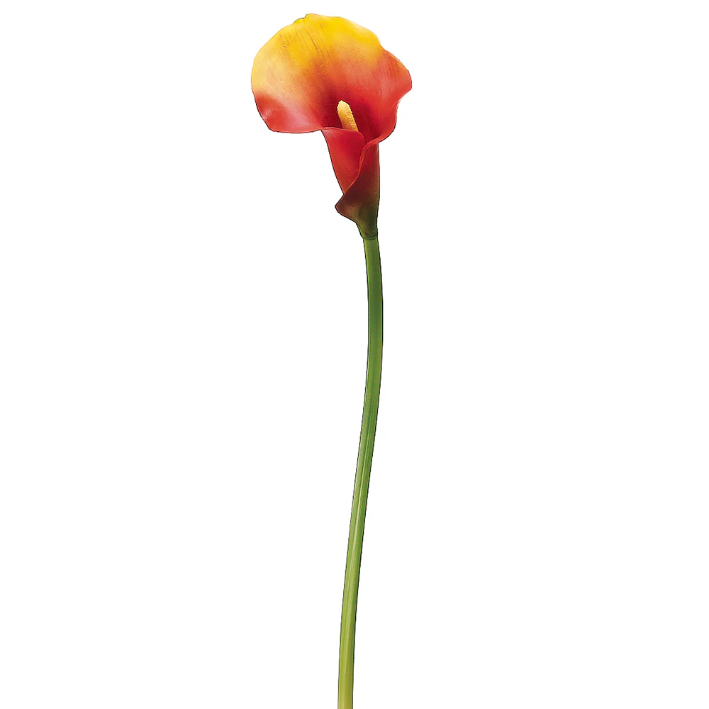 21" IFR PVC Artificial Calla Lily Flower Stem -2 Tone Flame (Pack of 12)