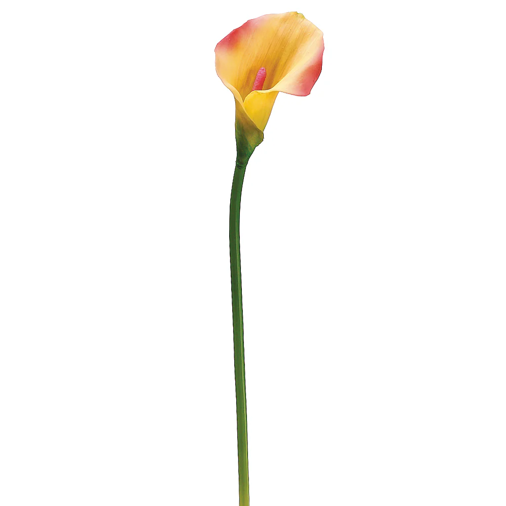 21" IFR PVC Artificial Calla Lily Flower Stem -Yellow/Pink (Pack of 12)
