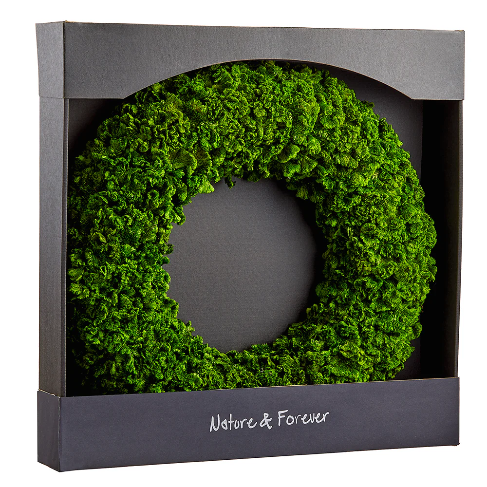 21" Preserved Celosia Wreath -Green (Pack of 2)