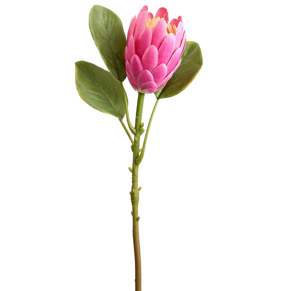 21" Protea Silk Flower Stem -Cerise (Pack of 12)