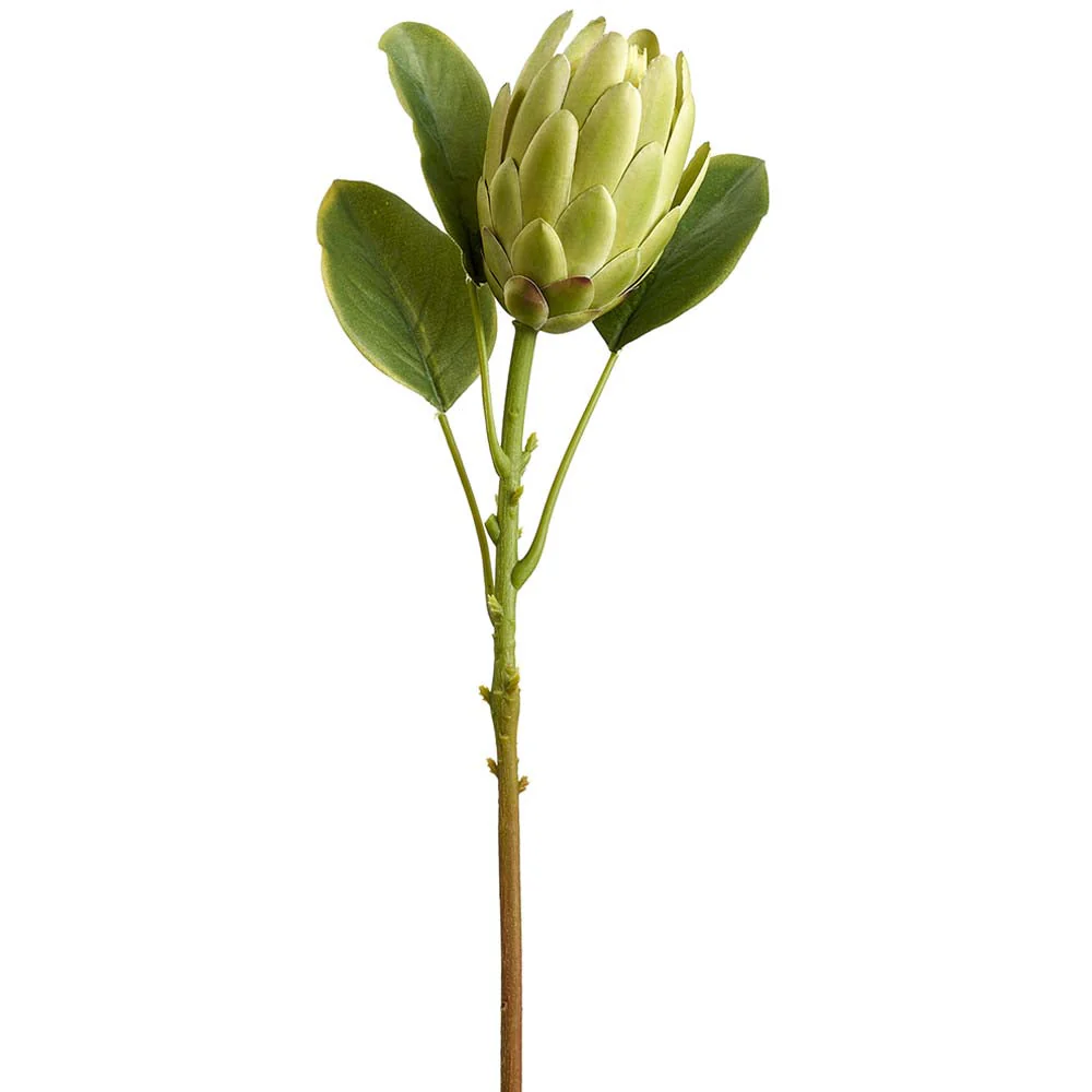 21" Protea Silk Flower Stem -Green (Pack of 12)
