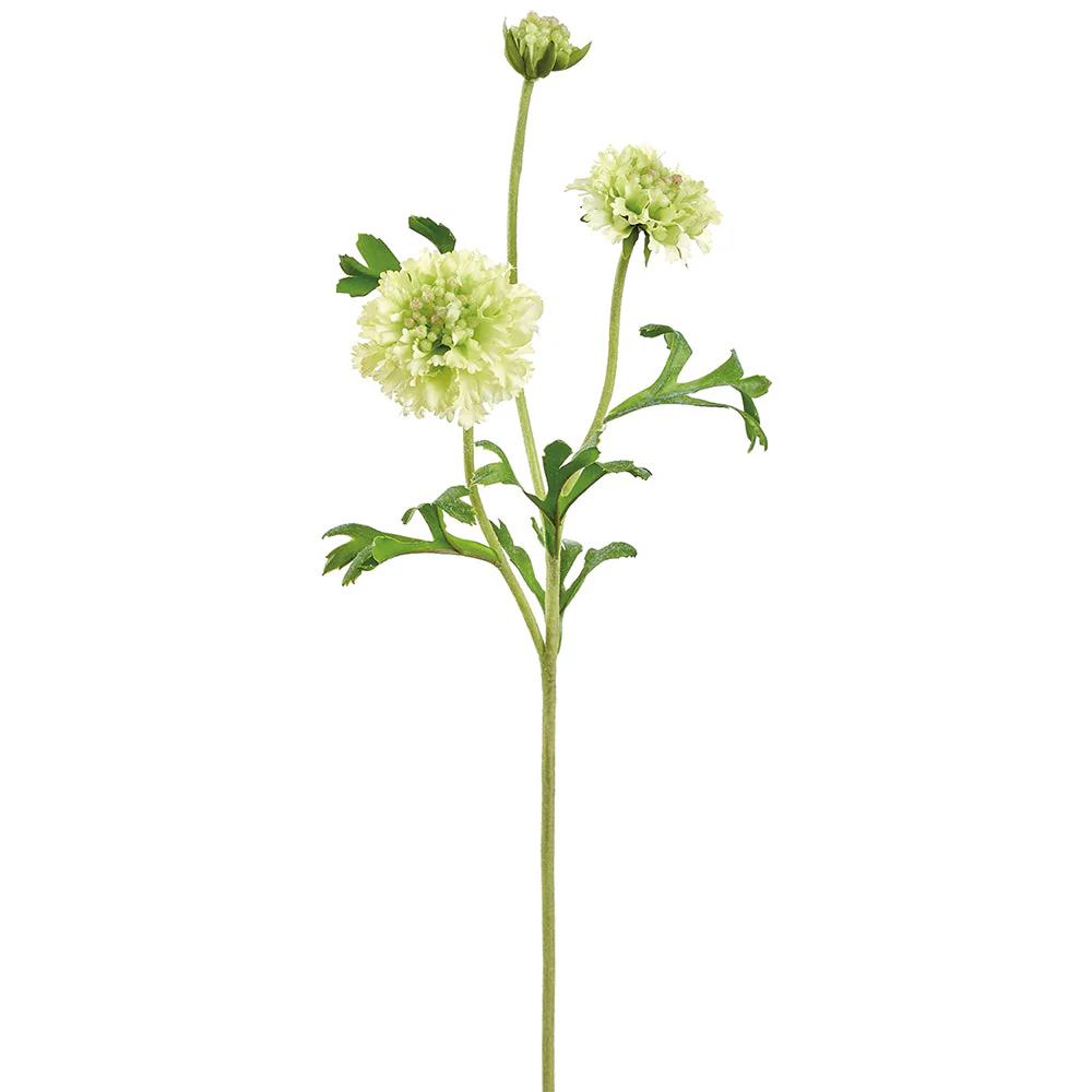 21" Scabiosa Silk Flower Stem -Green (Pack of 12)
