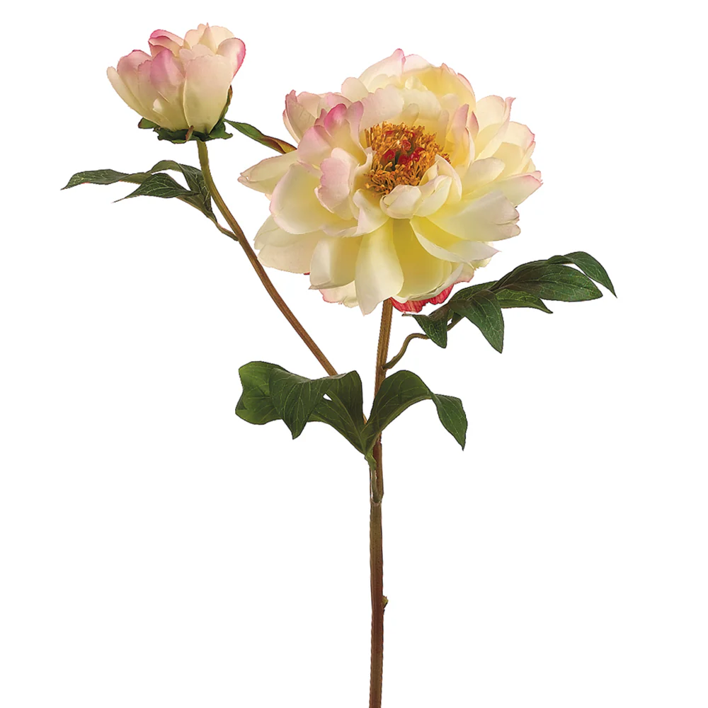 22.5" Hand-Wrapped Silk Vintage Peony Flower Spray -Cream/Cerise (Pack of 12)