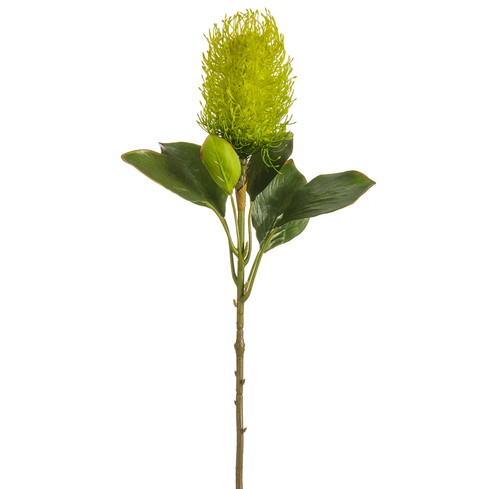 22" Artificial Banksia Protea Flower Stem -Green (Pack of 12)