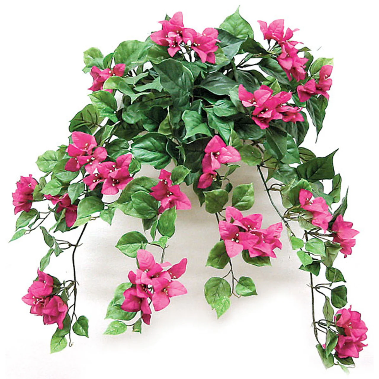 22" Bougainvillea Silk Hanging Flower Bush -Beauty (Pack of 6)