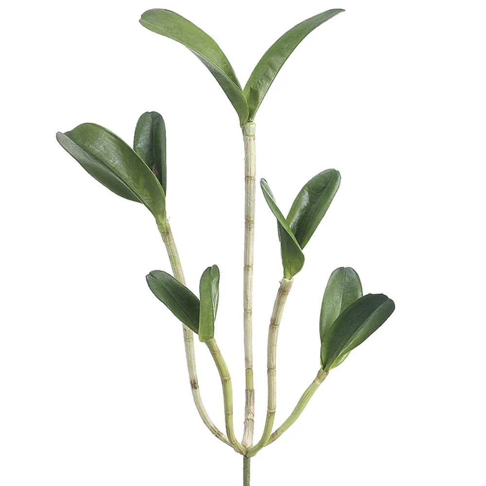 22" Hand-Wrapped Silk Cattleya Orchid Leaf Plant Stem -Green (Pack of 6)