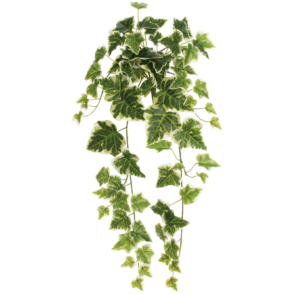22" Hanging Ivy Leaf Silk Plant -Green (Pack of 12)