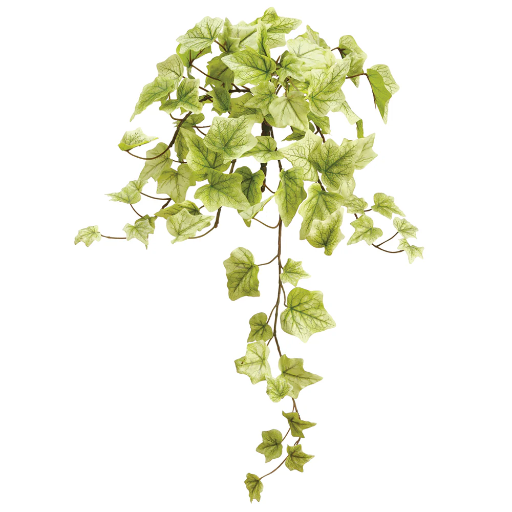 22" One-Piece Construction Ivy Silk Hanging Plant -78 Leaves -Cream/Green (Pack of 12)