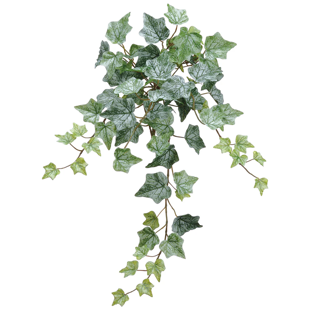 22" One-Piece Construction Ivy Silk Hanging Plant -78 Leaves -Green/Frosted (Pack of 12)
