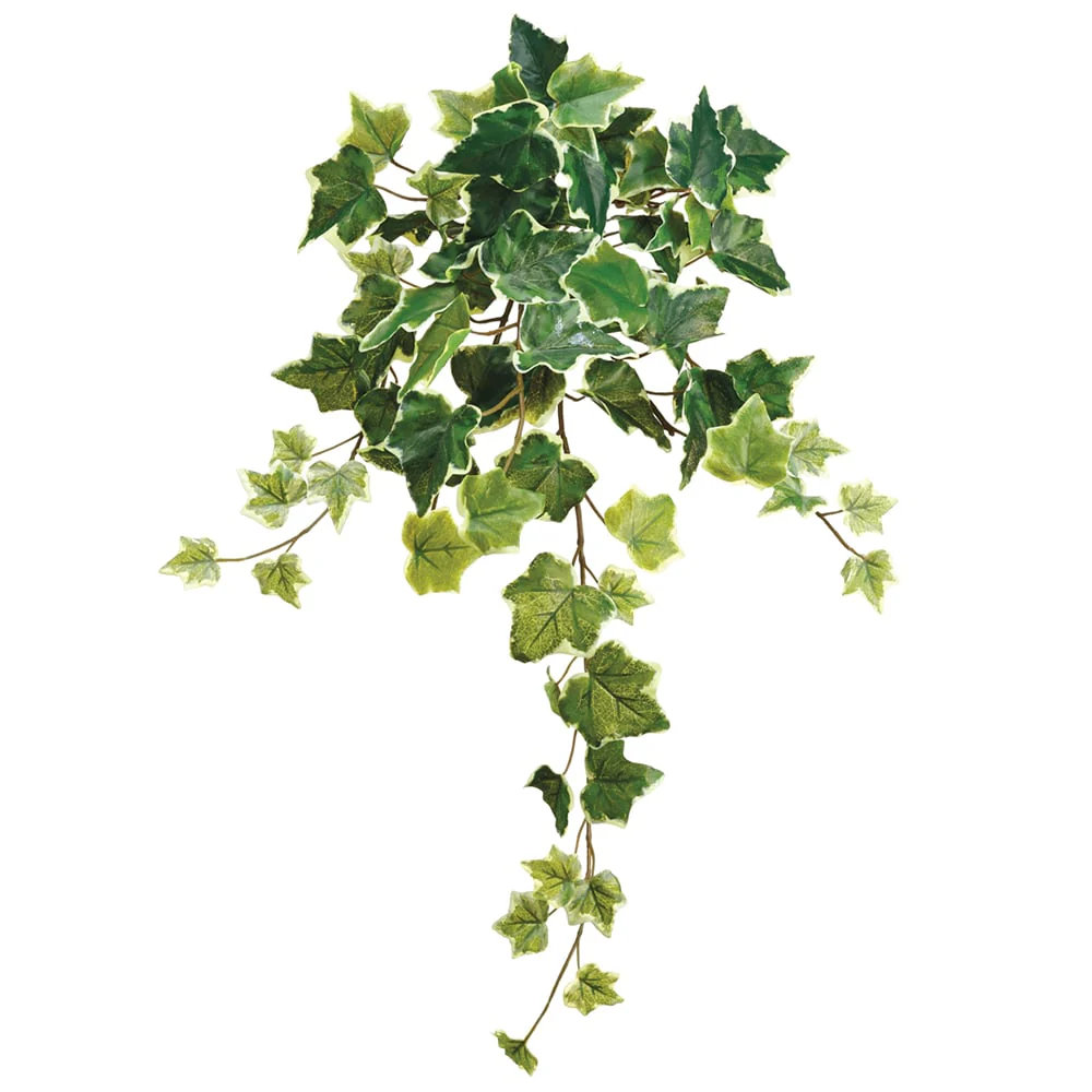 22" One-Piece Construction Ivy Silk Hanging Plant -78 Leaves -Variegated (Pack of 12)
