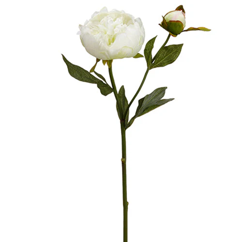 22" Peony Faux Flower Stem -White (Pack of 12)