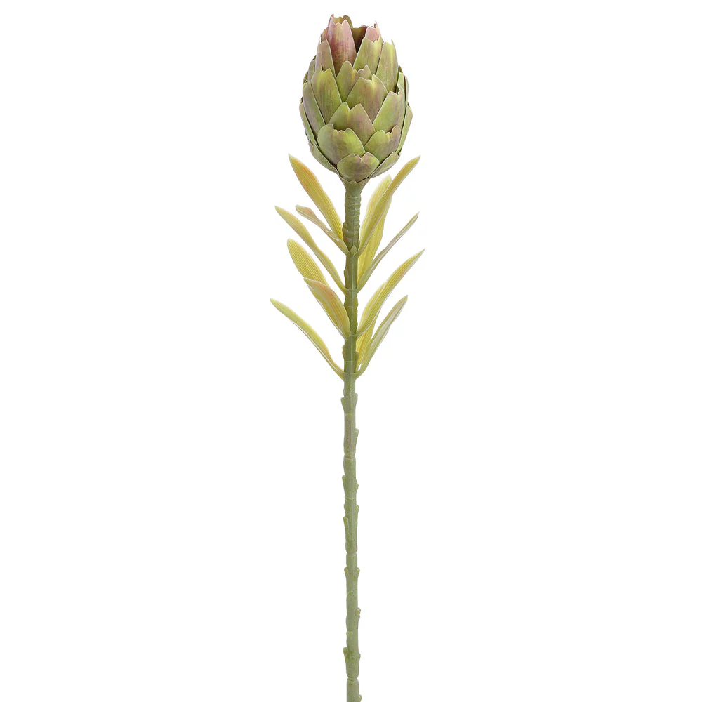 22" Protea Silk Flower Stem -Green/Brown (Pack of 12)