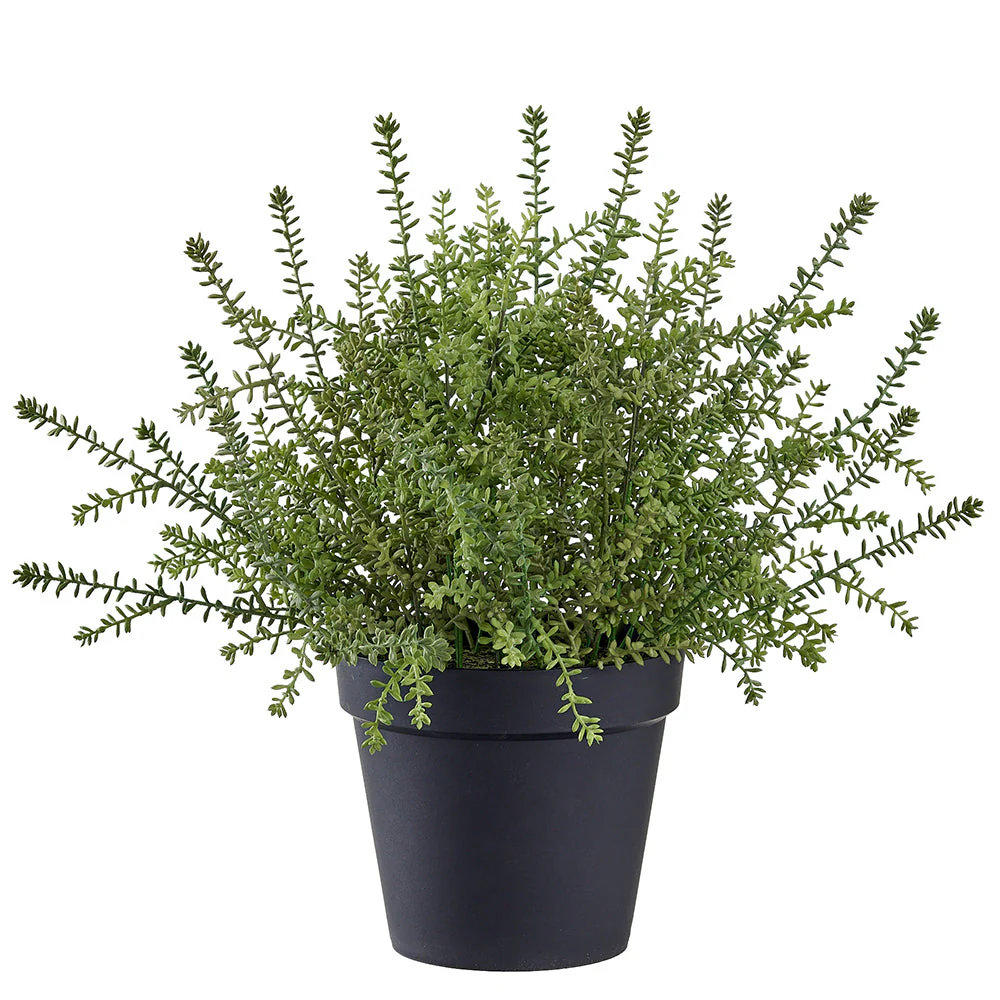 22" Sedum Succulent Artificial Plant w/Plastic Pot -Green (Pack of 2)