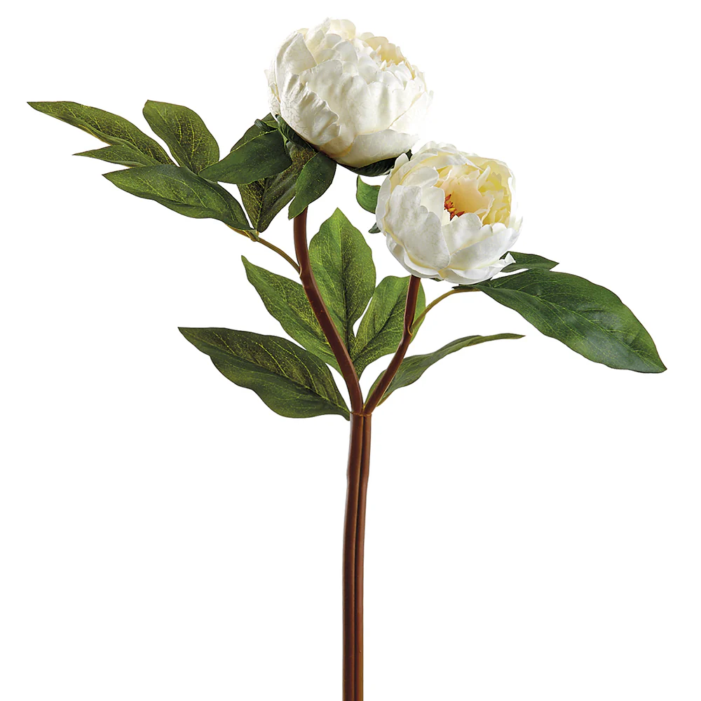 22" Silk Peony Flower Spray -Cream (Pack of 12)