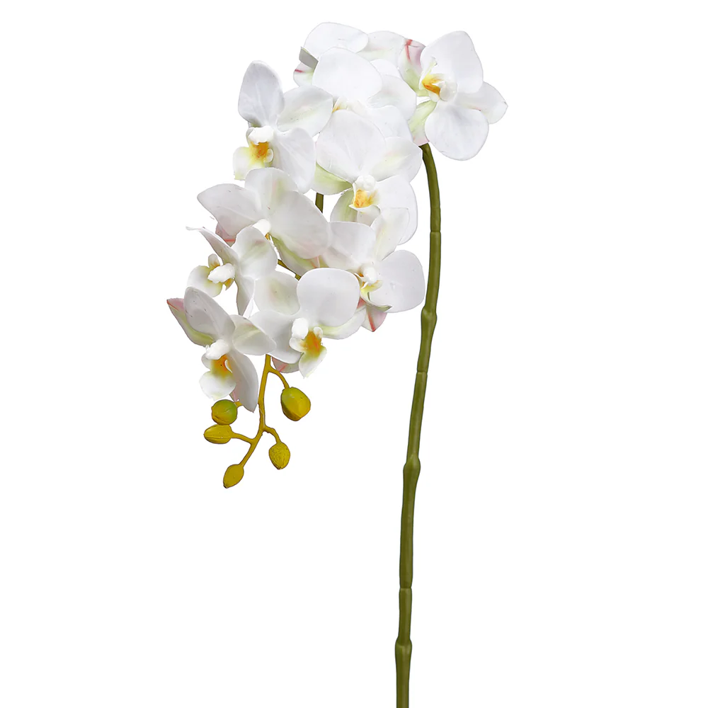 22" Small Silk Phalaenopsis Orchid Flower Stem -White (Pack of 12)