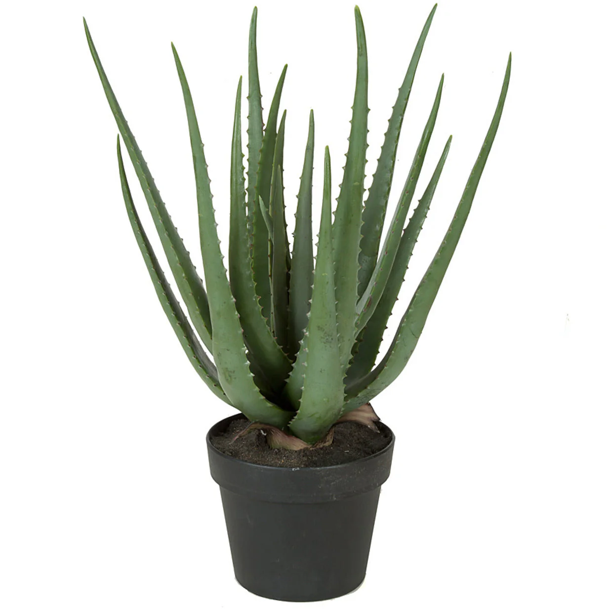 22" Soft-Touch Artificial Aloe Succulent Plant w/Pot -Green