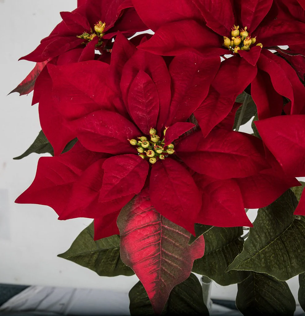 22" Velvet Poinsettia Artificial Flower Bush -Red (Pack of 6) - Image 2