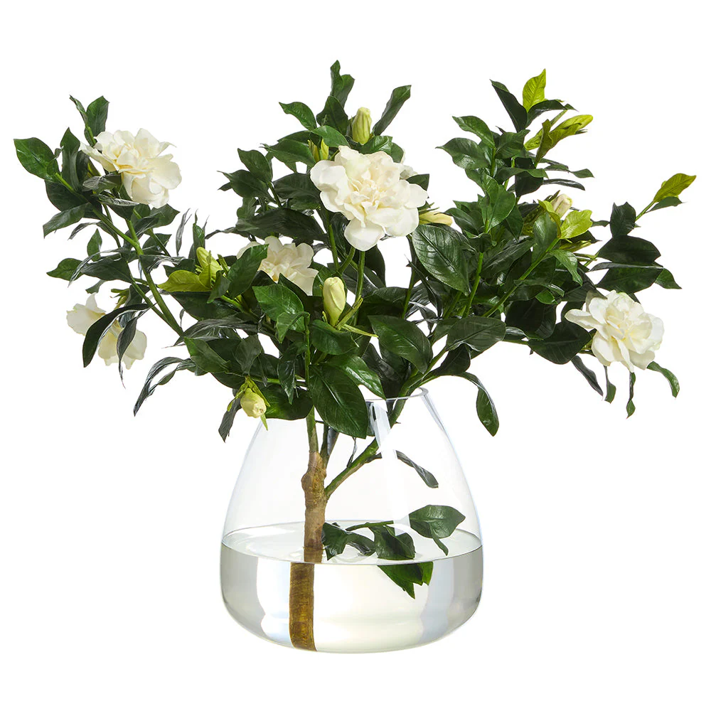 22"Hx30"W Gardenia Branch Silk Flower Arrangement w/Glass Vase -Cream