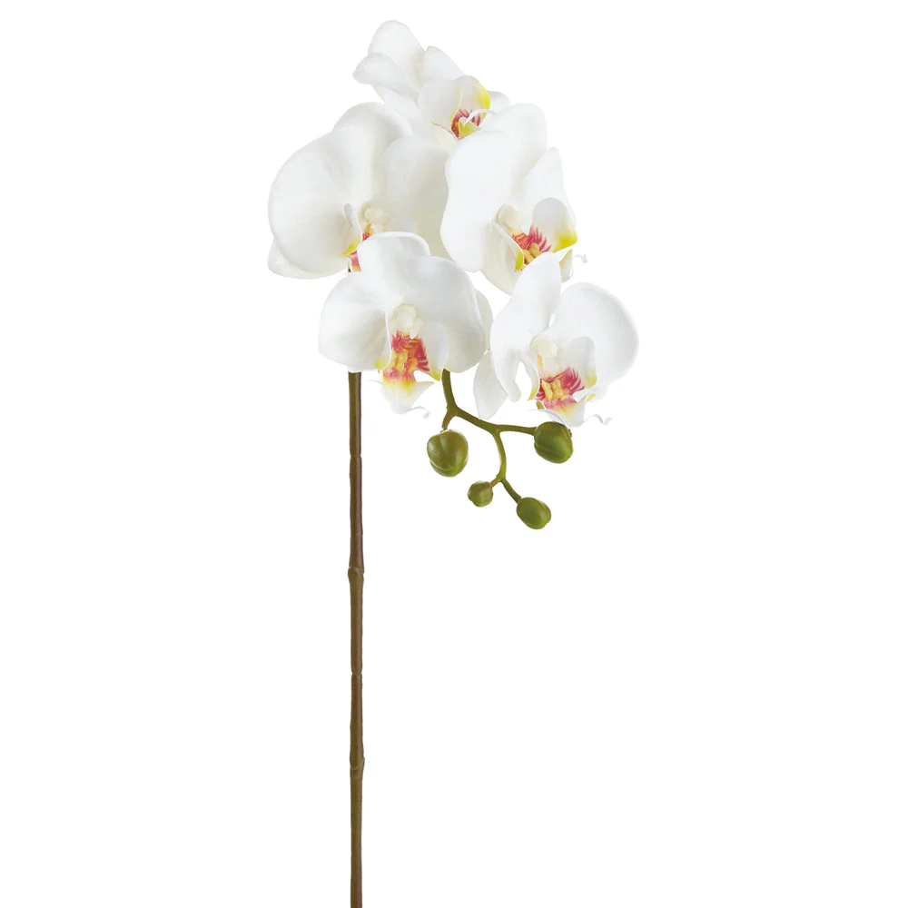 23.5" Real Touch Phalaenopsis Orchid Silk Flower Stem -White (Pack of 12)
