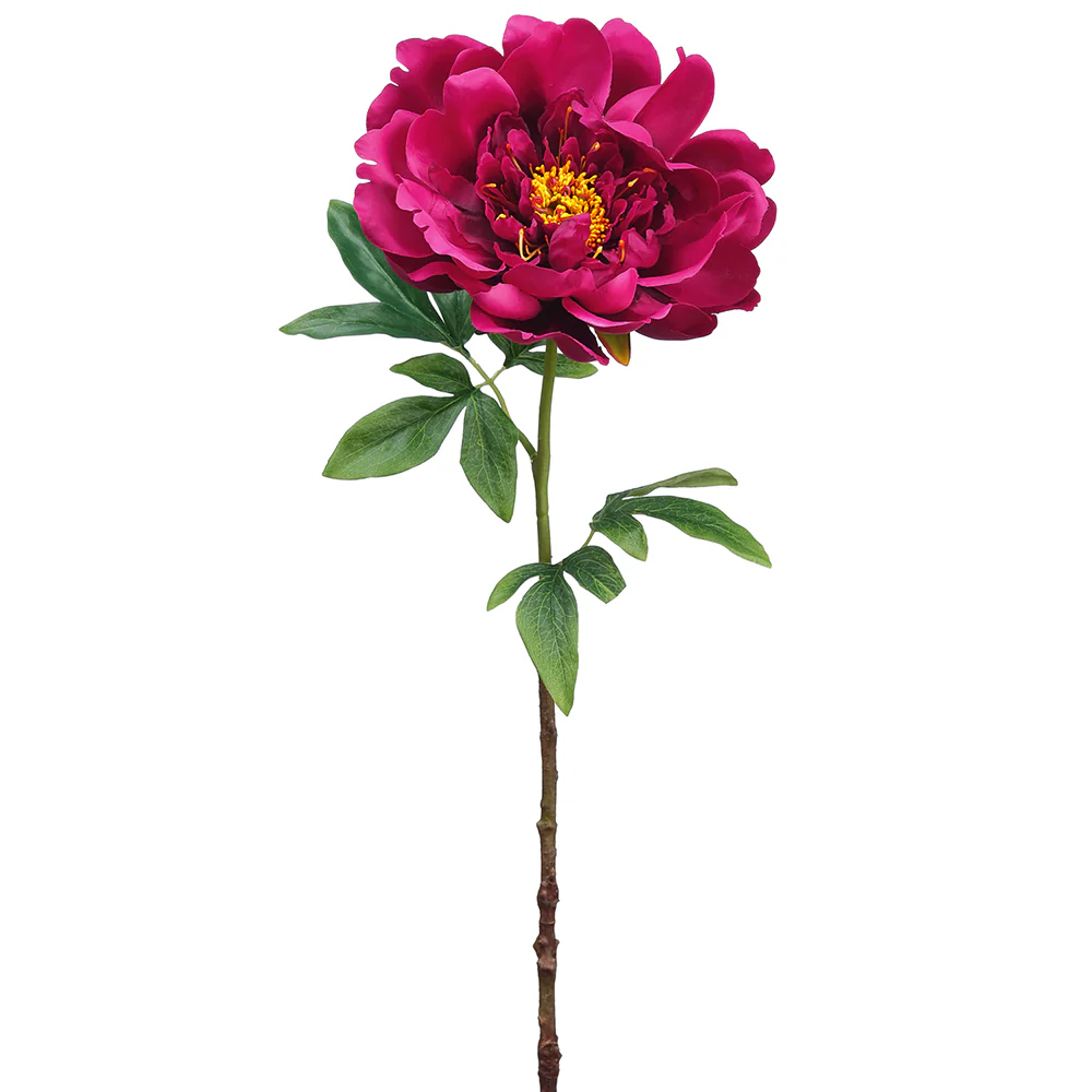 23.5" Silk Peony Flower Stem -Beauty (Pack of 12)
