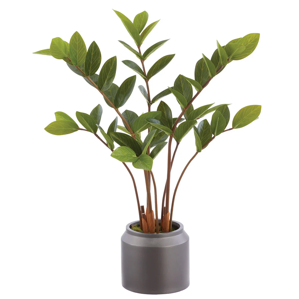23.5" Zanzibar Gem Zamioculcas Succulent Artificial Plant w/Polyresin Pot -Green (Pack of 2)