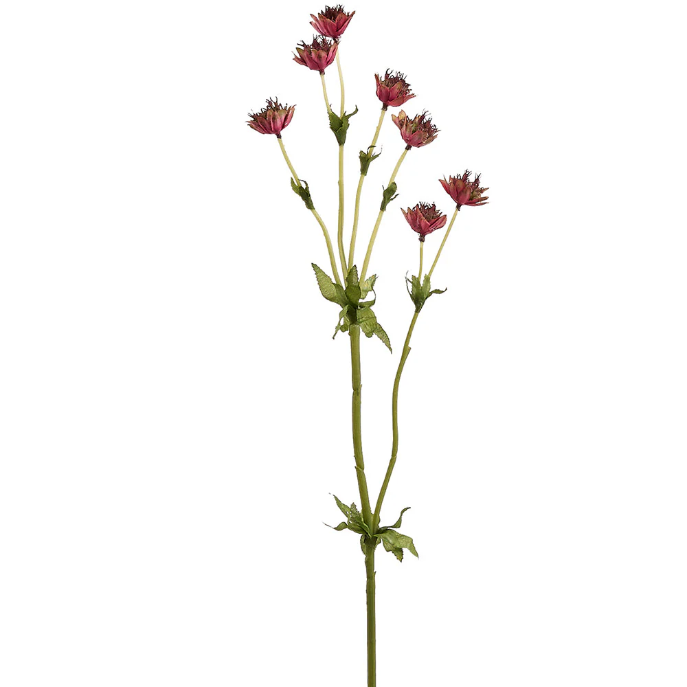 23" Astrantia Masterwort Silk Flower Stem -Burgundy (Pack of 12)