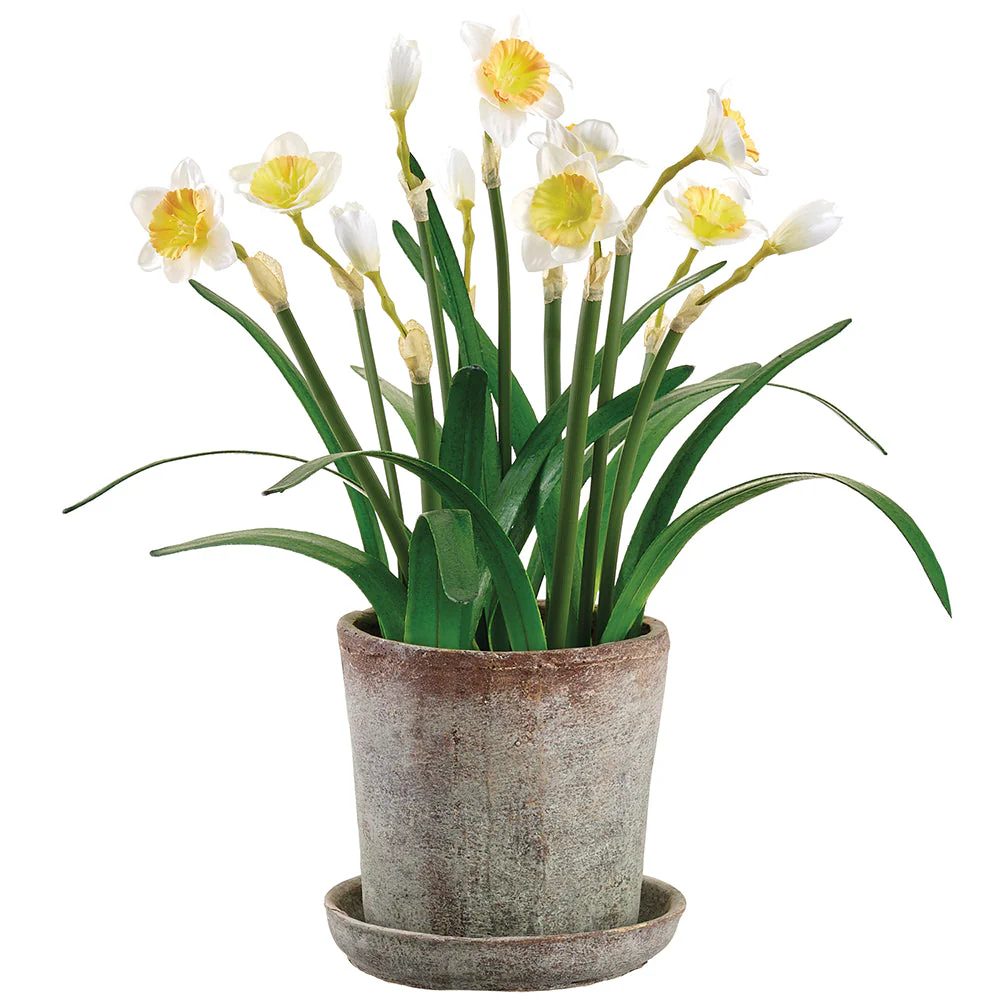 23" Daffodil Silk Flower Arrangement w/Mgo Pot -White/Yellow (Pack of 2)