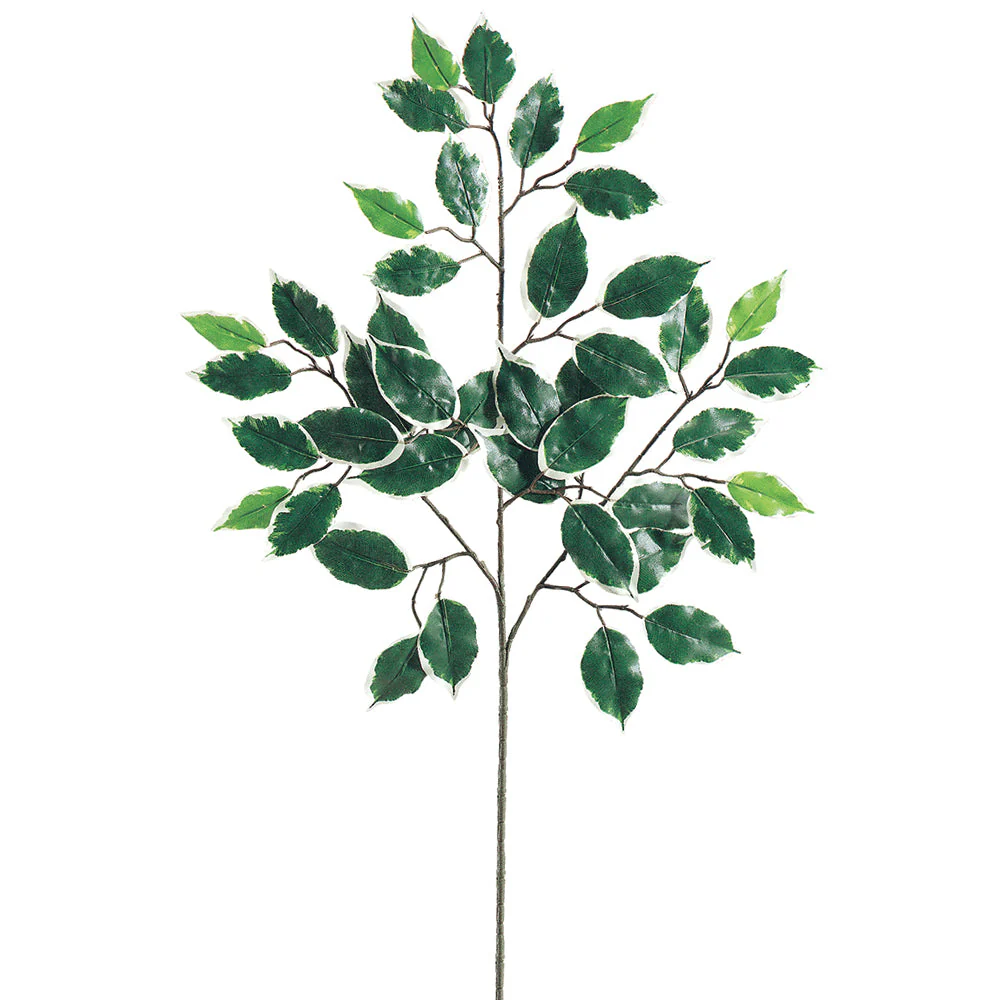 23" Deluxe Ficus Leaf Silk Stem -Variegated (Pack of 480)