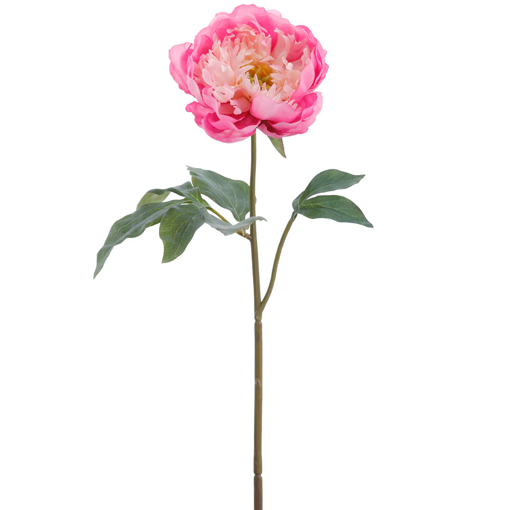 23" Faux Peony Flower Stem -Cream/Beauty (Pack of 12)