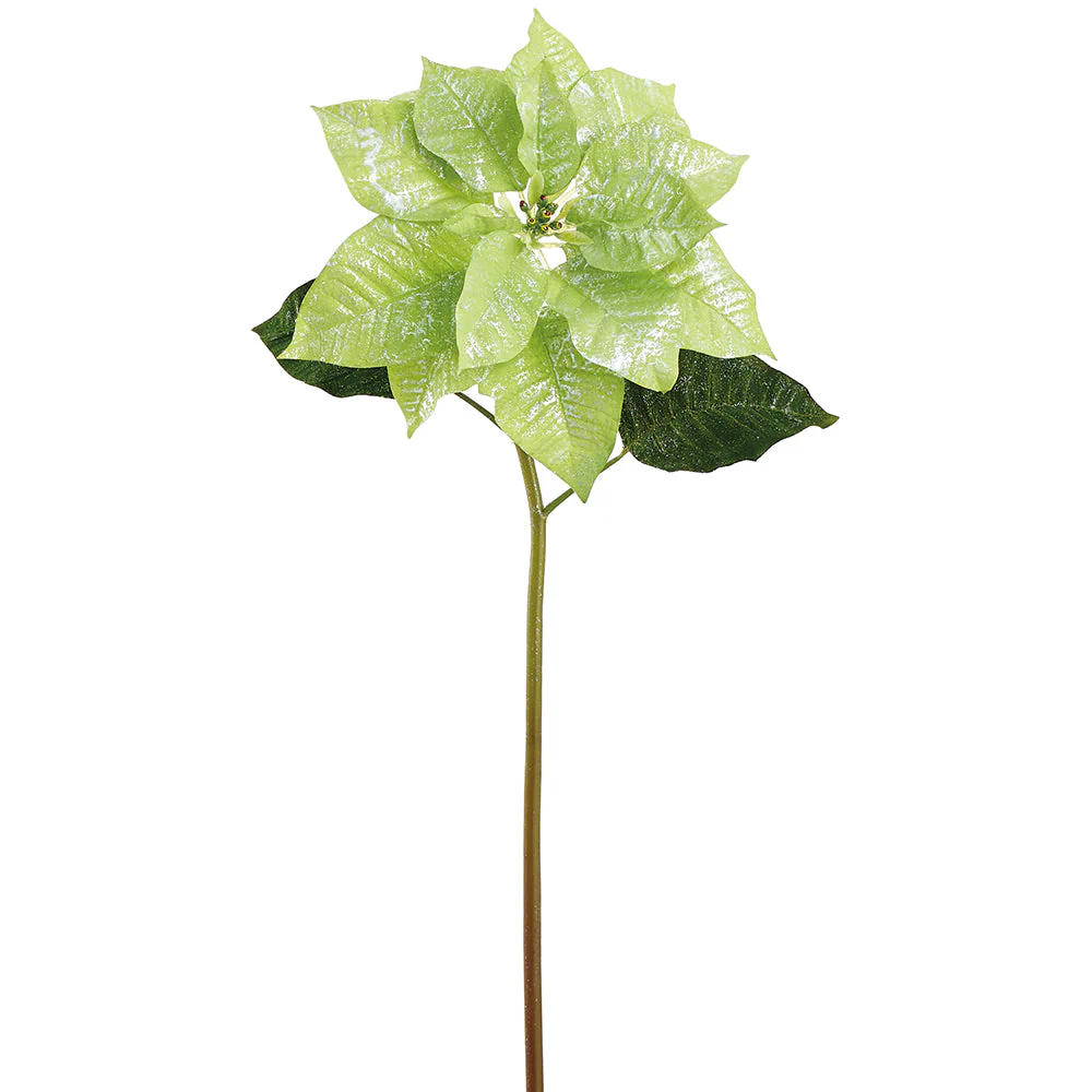23" Glittered Artificial Poinsettia Flower Stem -Green (Pack of 12)
