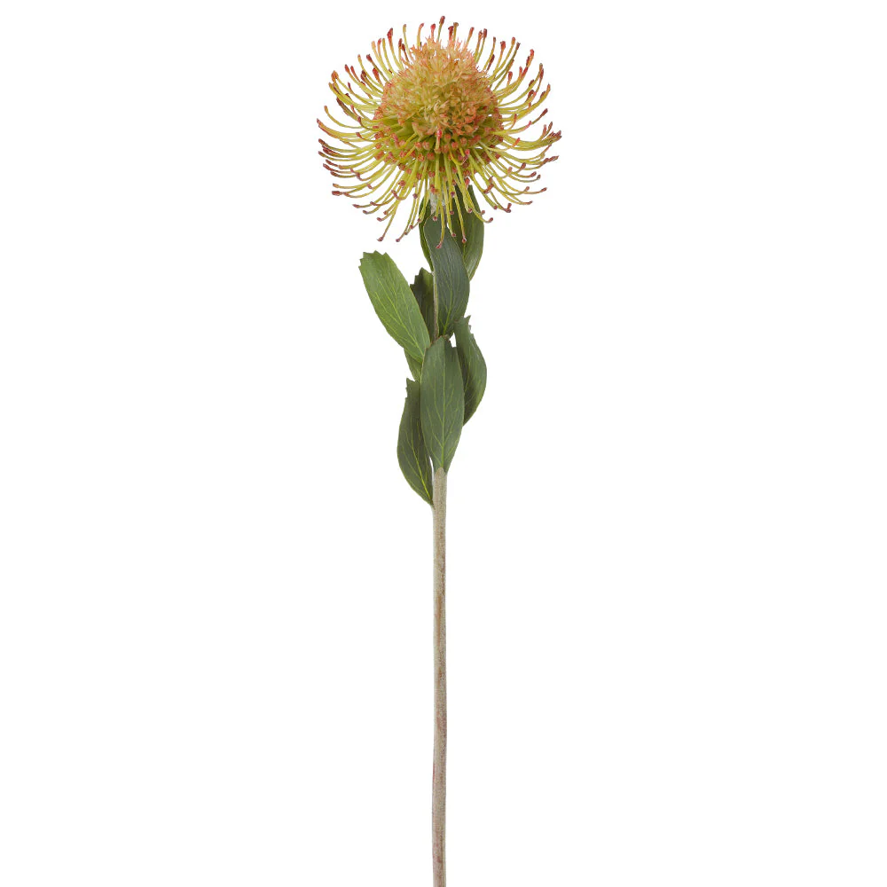 23" Needle Protea Silk Flower Stem -2 Tone Green (Pack of 12)