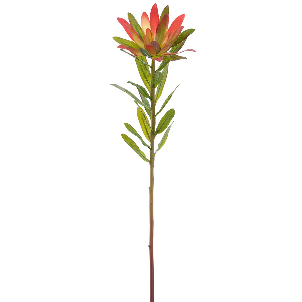 23" Protea Silk Flower Stem -Crimson/Green (Pack of 12)
