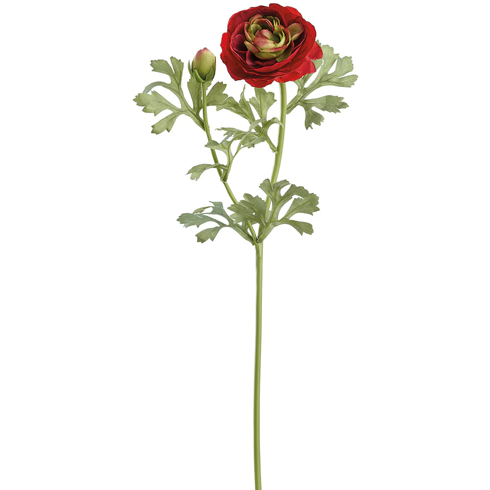 23" Ranunculus Silk Flower Stem -Red (Pack of 12)