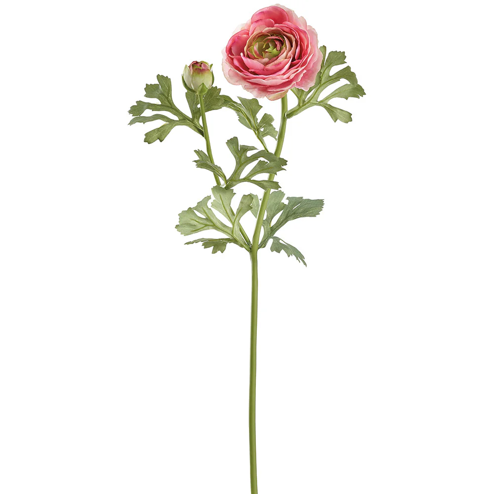 23" Ranunculus Silk Flower Stem -Rose (Pack of 12)