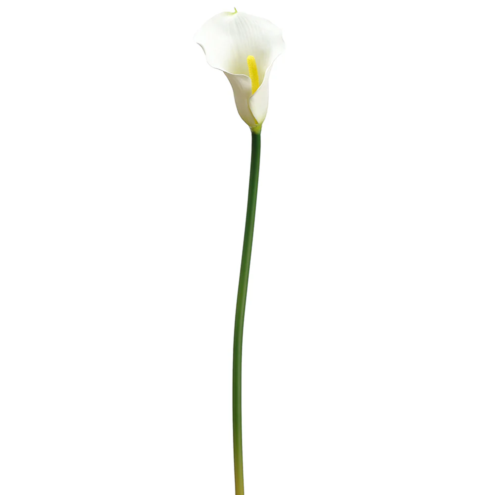 23" Real Touch Calla Lily Silk Flower Stem -White (Pack of 12)