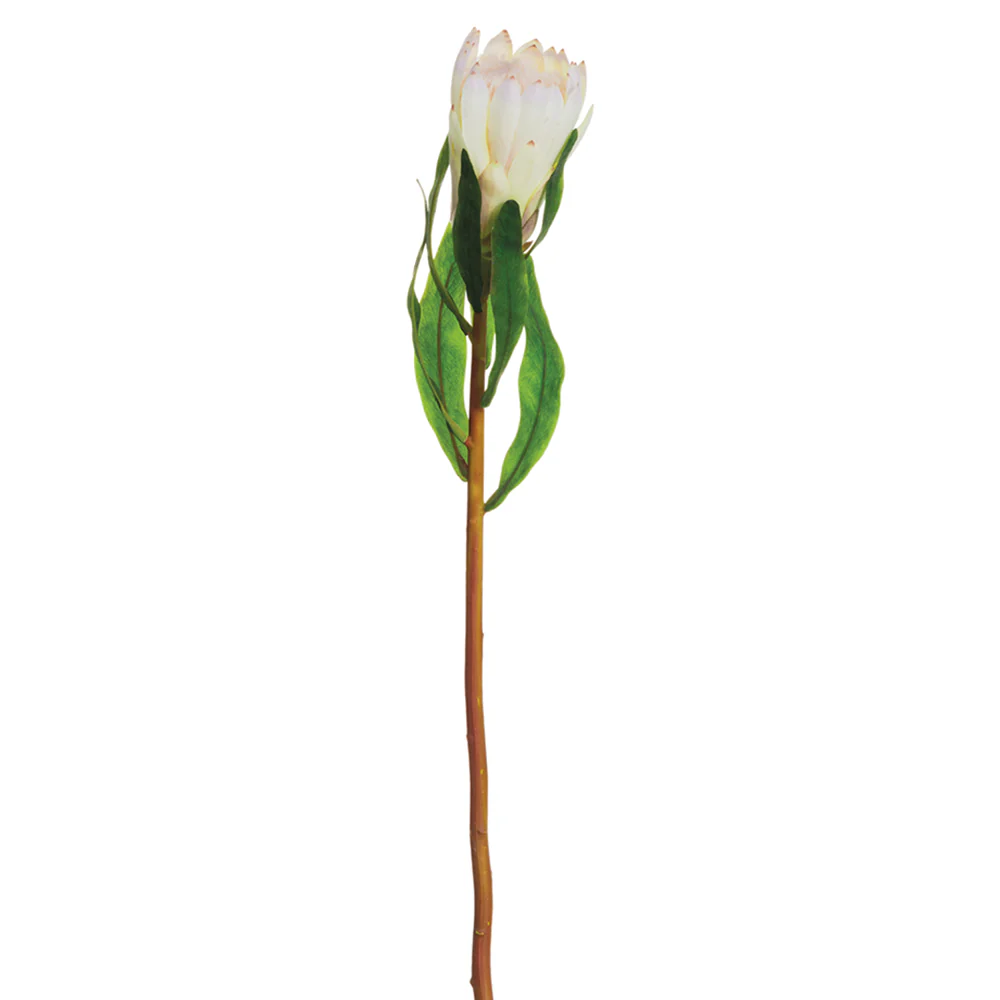 24.5" Protea Silk Flower Stem -Cream (Pack of 12)