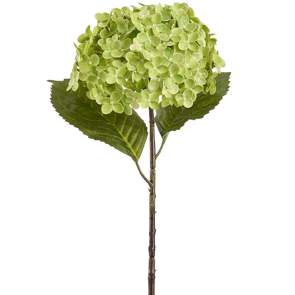 24.5" Real Touch Hydrangea Silk Flower Stem -Green (Pack of 12)