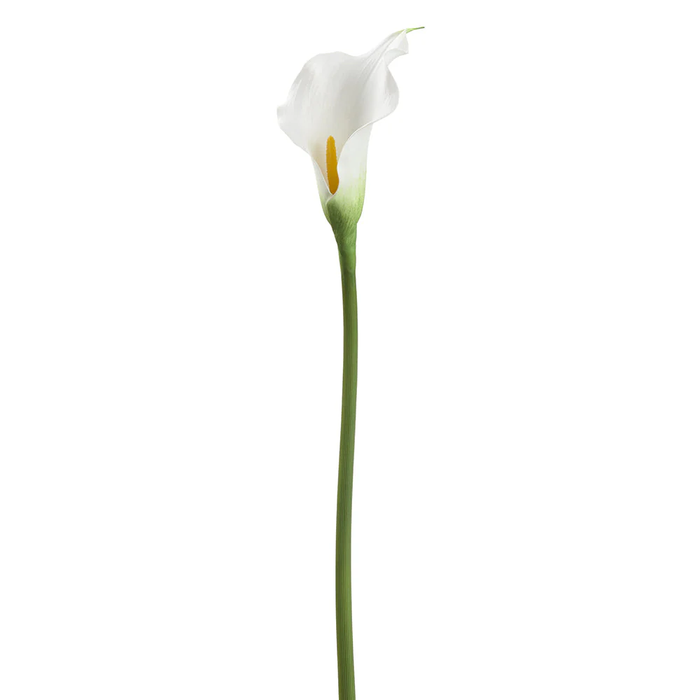24" Calla Lily Silk Flower Stem -White (Pack of 12)