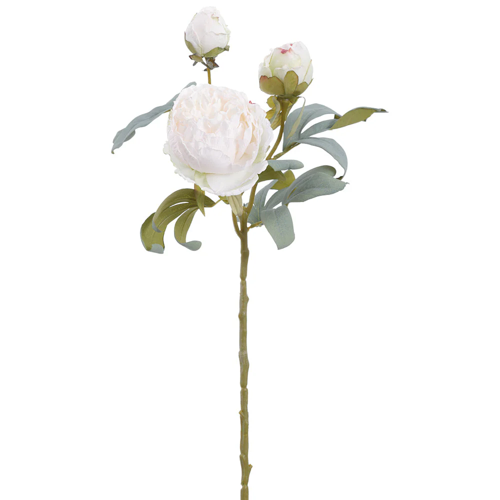 24" Dried-Look Large Peony Silk Flower Stem -Cream (Pack of 12)