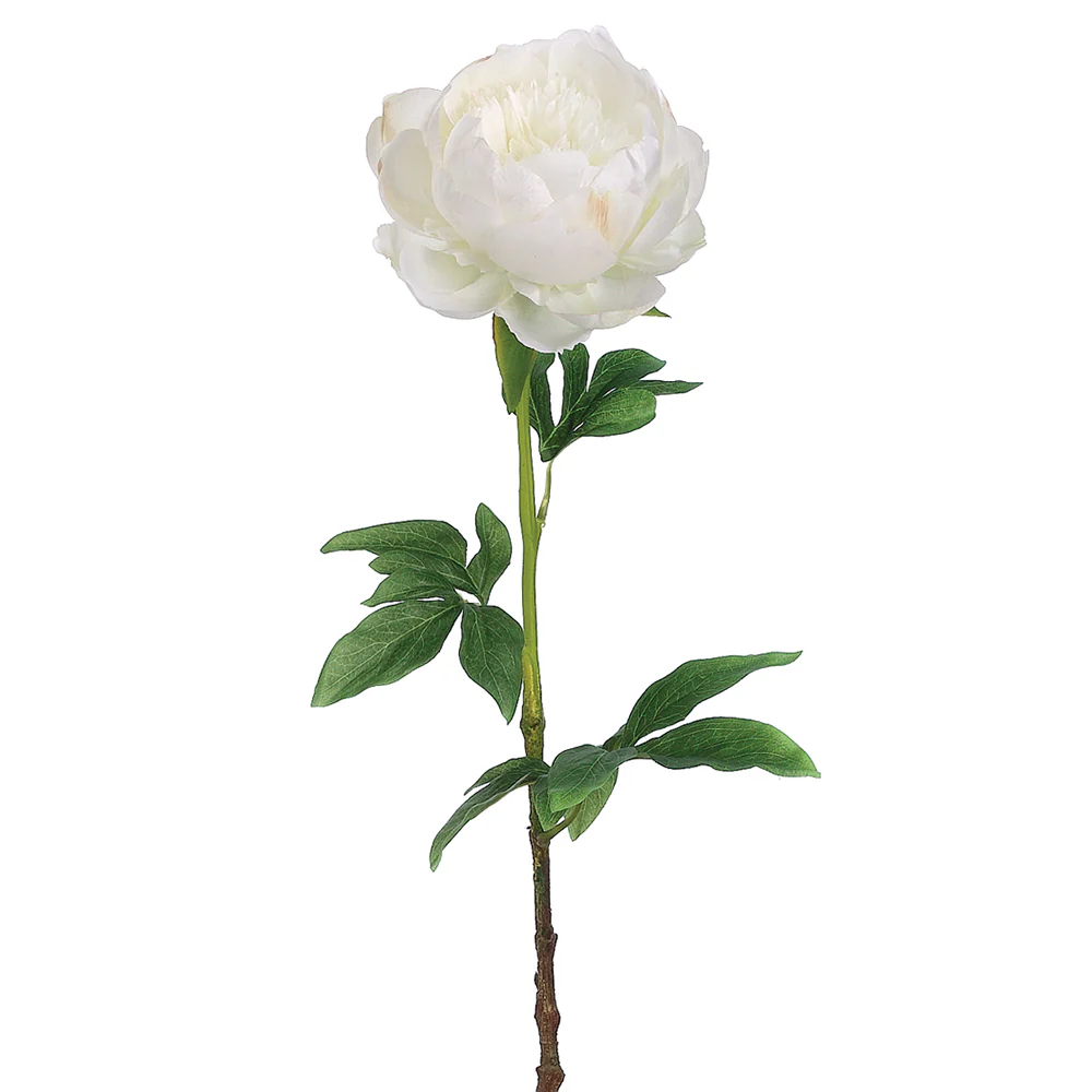 24" Hand-Wrapped Silk Peony Flower Spray -White (Pack of 12)