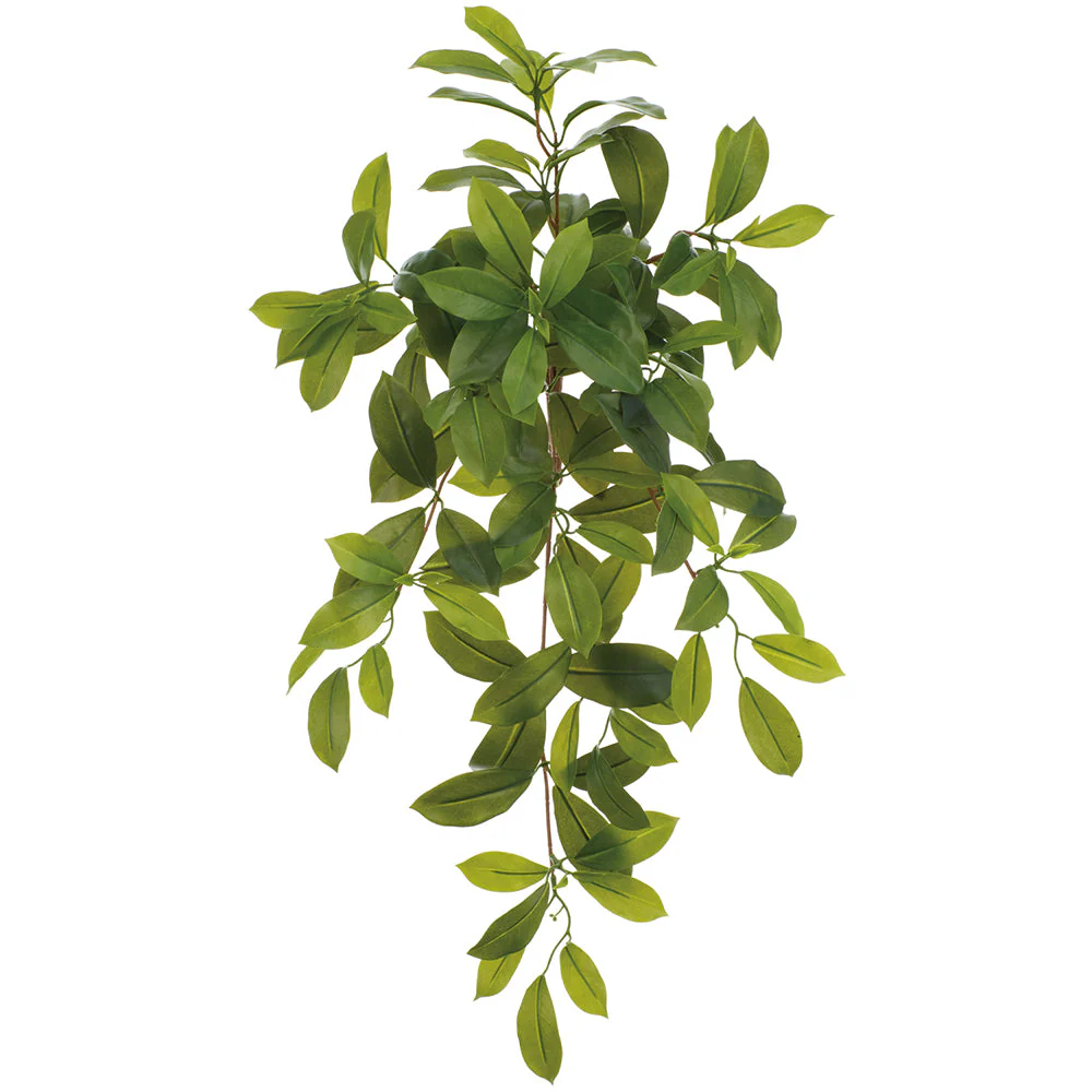 24" Hanging Ficus Leaf Silk Plant -Green (Pack of 12)