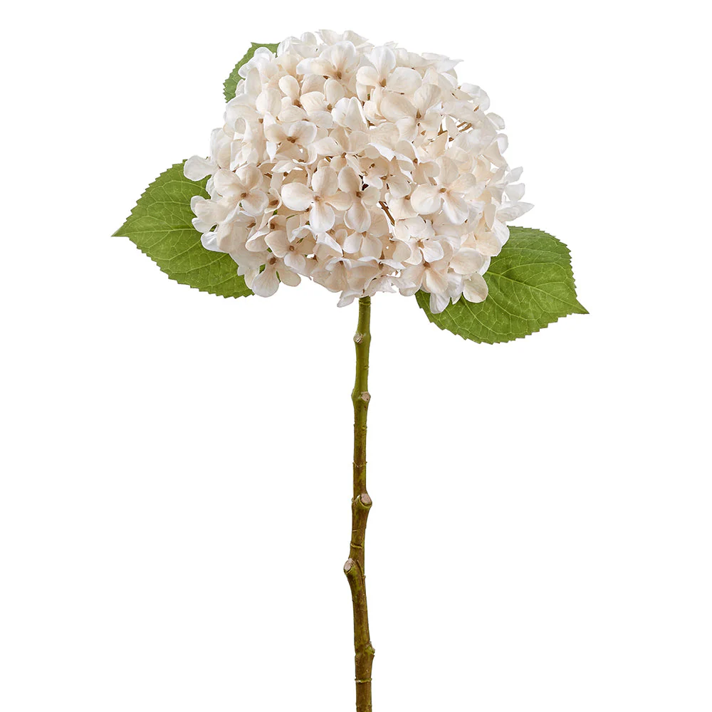 24" Hydrangea Silk Flower Stem -Cream/Ivory (Pack of 12)