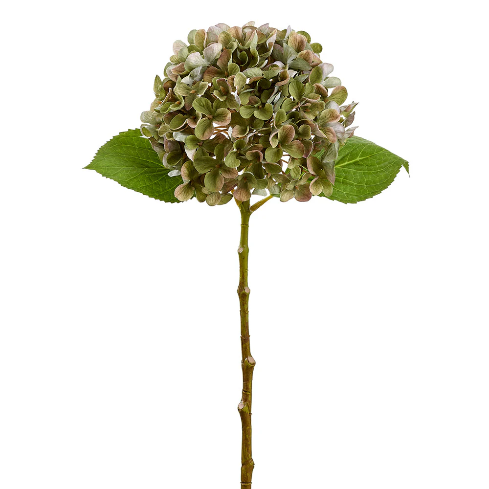 24" Hydrangea Silk Flower Stem -Olive Green (Pack of 12)