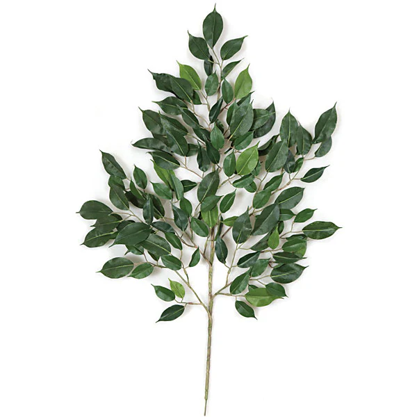 24" IFR Artificial Nitida Ficus Branch Stem -Green (Pack of 12)